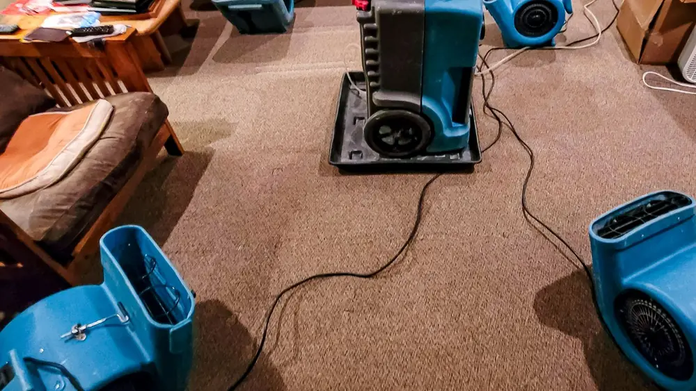 Air movers running on carpet after emergency water removal