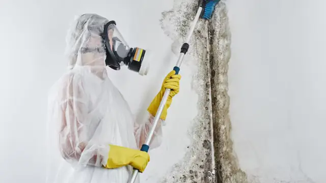Technician in a respirator and protective suit treating mold on a wall